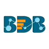BigData BizViz logo