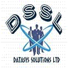 DataSys Solutions logo