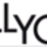 ALLYOU logo