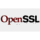Thawte SSL icon
