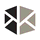 BizDataX icon