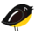 Corebird icon