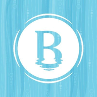 Basin Shampoo Bars logo