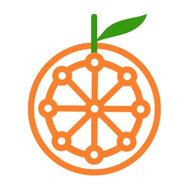 Riple.io logo