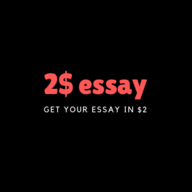2 Dollar Essay logo