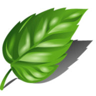 ECOMPLY logo