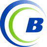 BirchStreet Procure-to-Pay logo