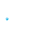 DSE Rec logo