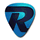 Rocksmith+ icon