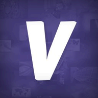 Video Loops logo