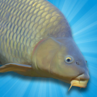 ddinteractive.co.uk Carp Fishing Simulator logo