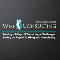 Wise Consulting logo