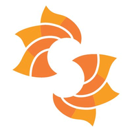 Spiceworks Network Mapping logo