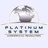 Platinum system logo