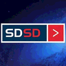 SDSD Maritime Accounting System logo