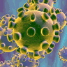thevirustracker.com Coronavirus Data API logo