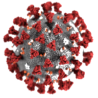 Coronavirus Pandemic Simulation logo