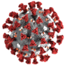 Coronavirus Pandemic Simulation logo