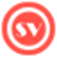 ScreenToVideo logo