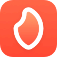 Bonfire for iOS logo