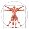 Dr. Muscle logo