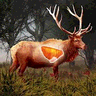 Deer Target Hunting – Pro logo