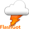 FlashGot logo