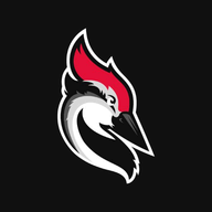 Woodpecker for WordPress logo