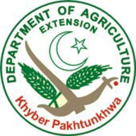 Agriculture Extension KP logo