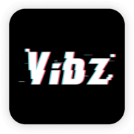 VIBZ logo