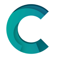 Camelot Pro logo