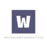 worldbreakingnews.live logo