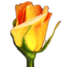 Rosegarden logo