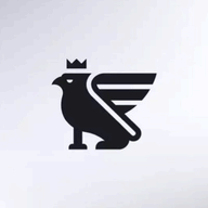 Anyfn logo