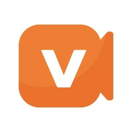 Vocalley logo