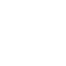 NetMonster logo