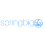 springbig logo