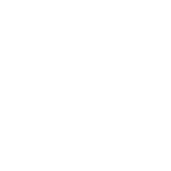 Neuman logo