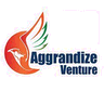ZEALIT by Aggrandize Venture logo