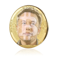 Did Elon Tweet About Bitcoin? logo