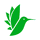 FlashCard Maker Online icon