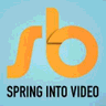 SpringBoard logo