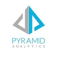 Pyramid Analytics logo