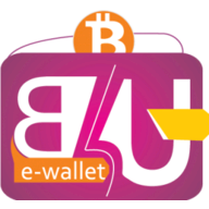 b4uwallet.com B4U Wallet logo