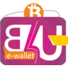 b4uwallet.com B4U Wallet logo