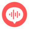 Linfei Voice Recorder