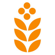 Bloom the Mind logo