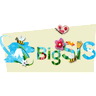 BigSIS logo