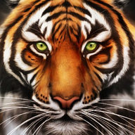 Tiger Commissary logo