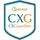 CDD Vault icon